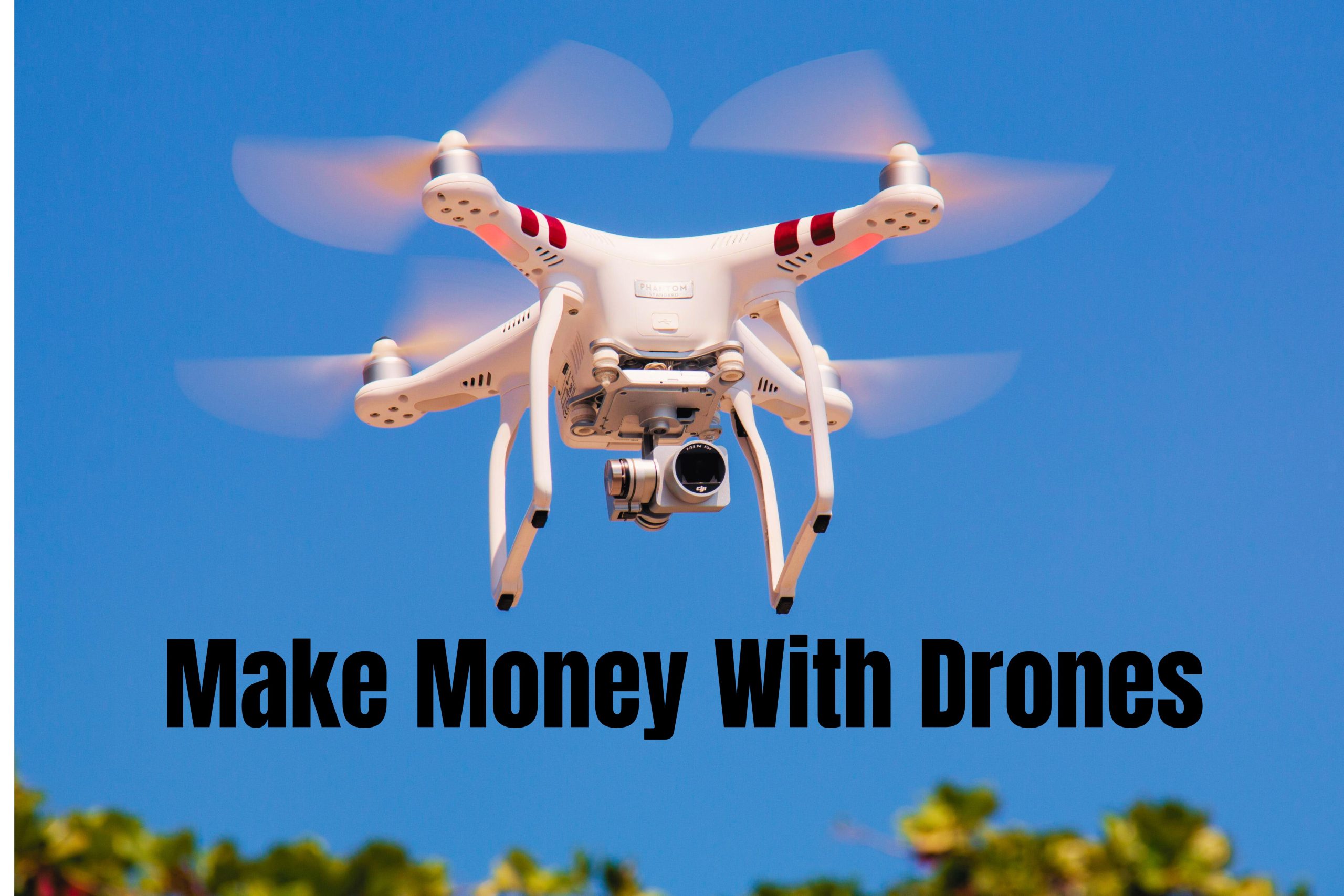Make money with drones